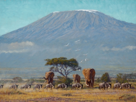 Near the Foothills of Kilimanjaro, 2019