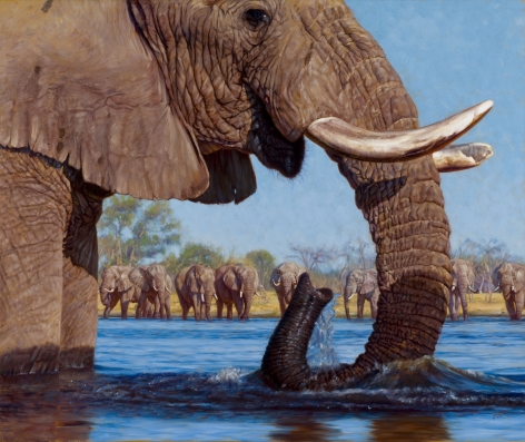 Swimming With Elephants, 2008