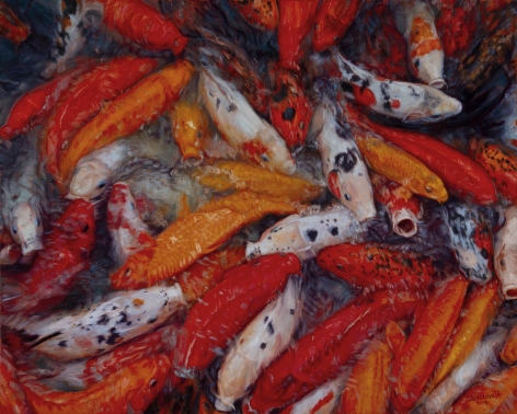 The Colors of Koi, 2019