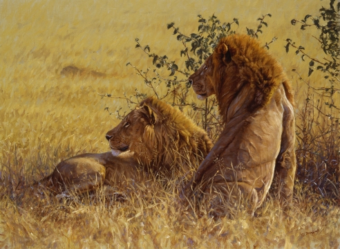 King of Beasts: A Study of the African Lion-Book Signing & Artist Talk